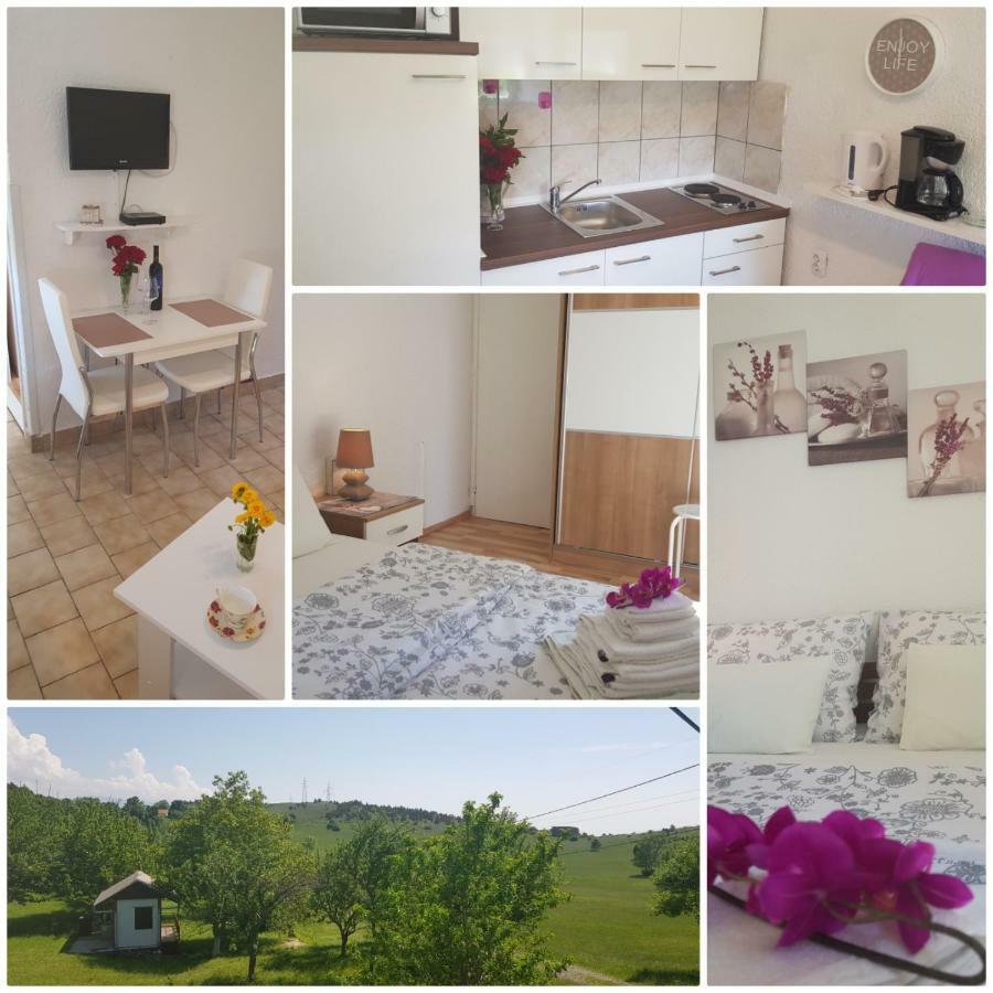 Apartman Duba 센 외부 사진